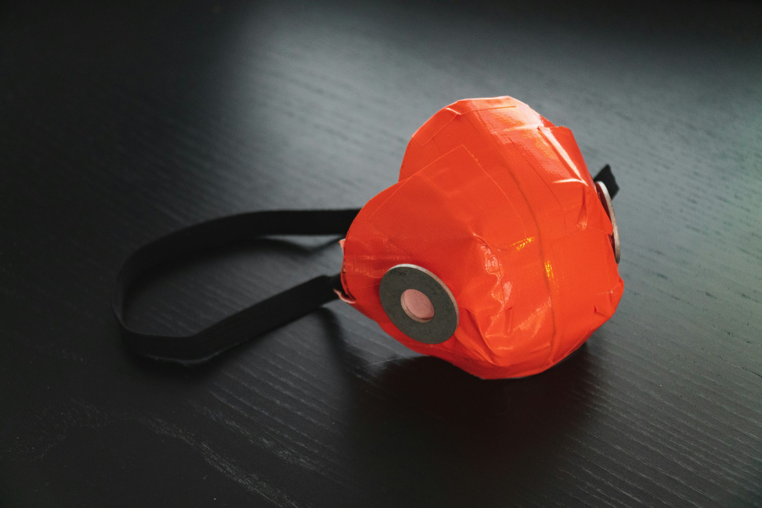 wearable tech for pets